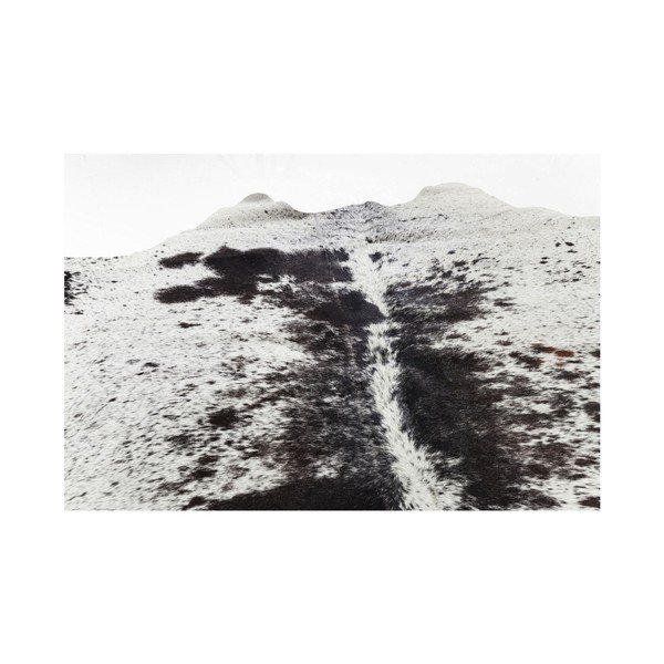 Bílo-hnědý koberec z hovězí kůže Kare Design Hide, 190 x 150 cm-image-3