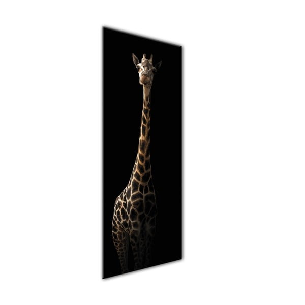 Obraz Styler Glas Animals Gira, 50 x 125 cm-image-1