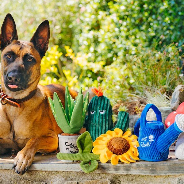 Dárkový set Blooming Buddies 5 ks – P.L.A.Y.-image-1