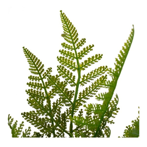 Umělá kapradina (výška 45 cm) – Casa Selección-image-2