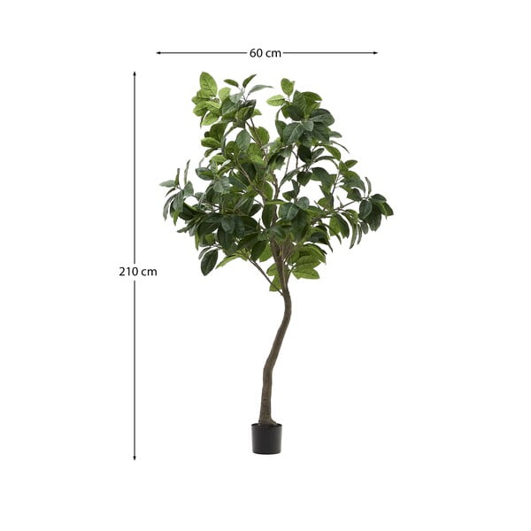 Umělý fíkus (výška 210 cm) Ficus – Kave Home-image-4
