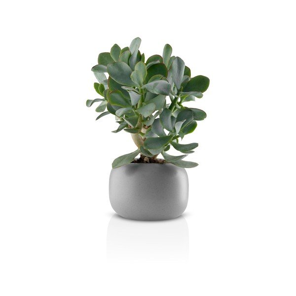 Šedý keramický květináč Eva Solo Stone, ø 16 cm-image-2