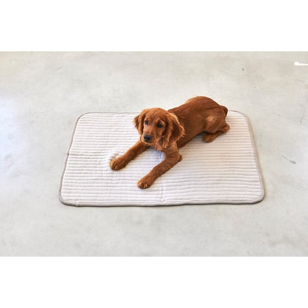 Béžová bavlněná deka pro psa 90x120 cm Onda Greige L – MiaCara-image-1