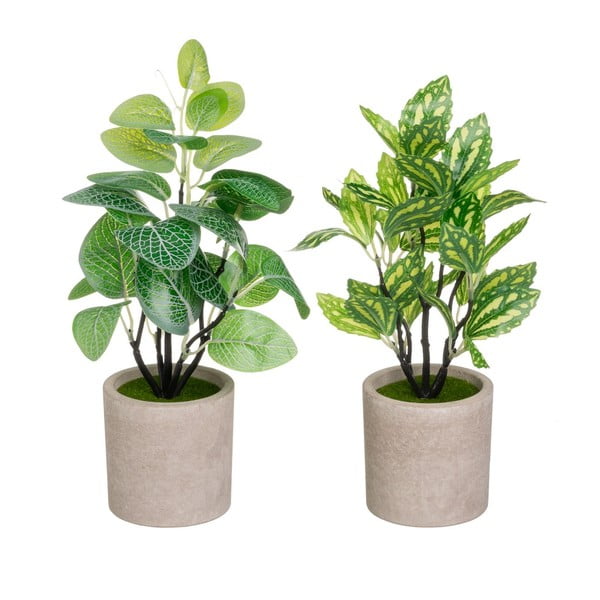 Umělé rostliny v sadě 2 ks (výška 28 cm) – Casa Selección