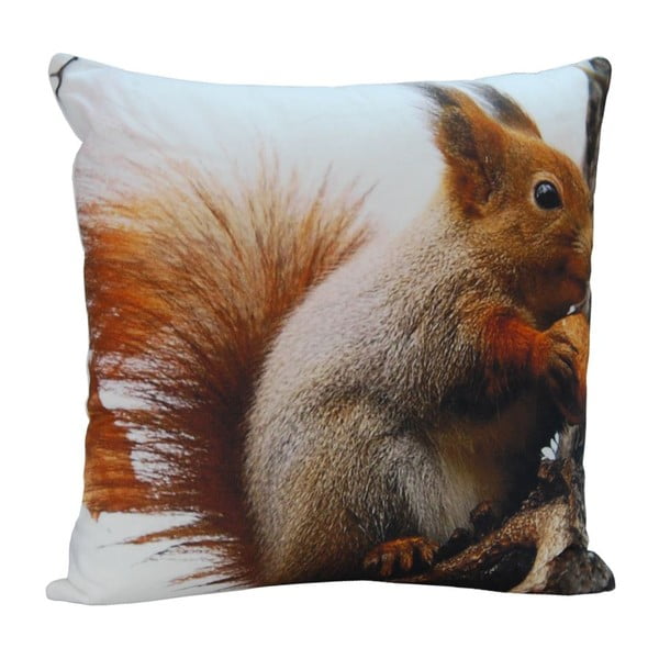 Polštář Squirrel Ted, 45x45 cm
