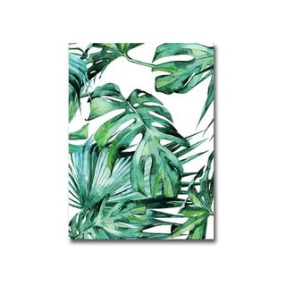 Obraz Wallity Jungle, 28 x 38 cm