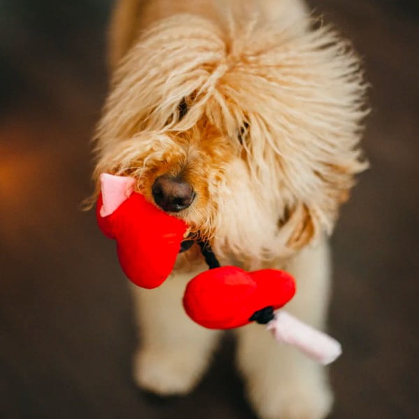 Hračka pro psa Srdce – P.L.A.Y.-image-1