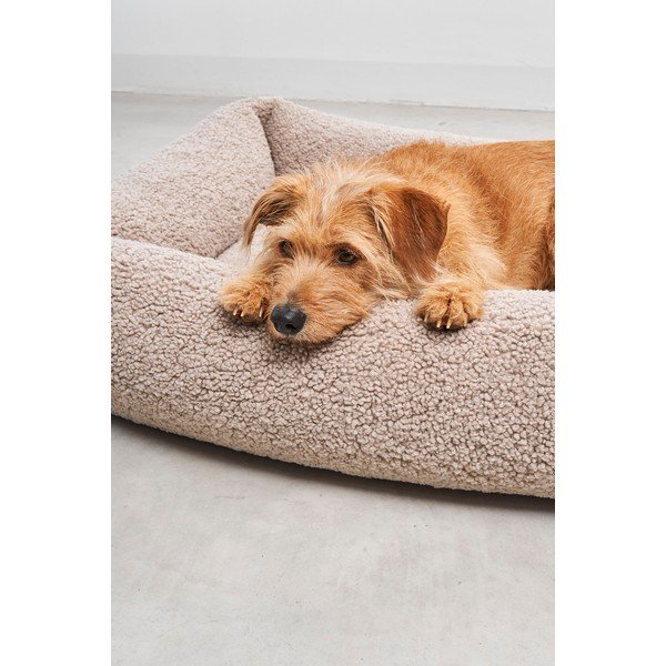 Béžový pelíšek pro psa z materiálu bouclé 71x91 cm Senso Greige M – MiaCara-image-3