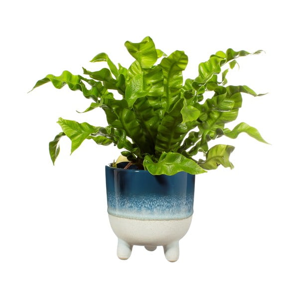 Modrý květináč Sass & Belle Bohemian Home Mojave, ø 11,7 cm-image-2