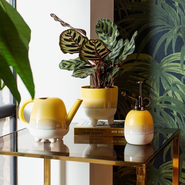 Žlutý květináč Sass & Belle Bohemian Home Mojave, ø 11,7 cm-image-1