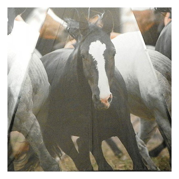 Deštník Running Horses-image-2