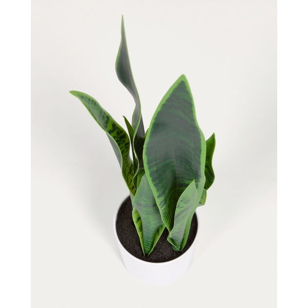 Umělá rostlina (výška 55 cm) Sansevieria – Kave Home-image-2
