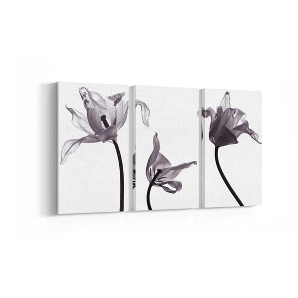 3-dílný obraz Grey Flowers, 20 x 40 cm