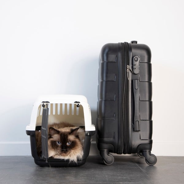 Přepravka pro domácího mazlíčka 31x46 cm – Love Story-image-1