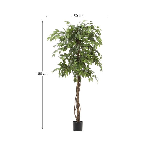 Umělý fíkus (výška 180 cm) Ficus – Kave Home-image-4