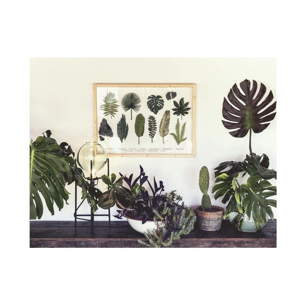 Obraz s rámem z borovicového dřeva Surdic Leafes Guide, 50 x 70 cm-image-1
