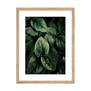 Plakát 30x40 cm Leaves – knor