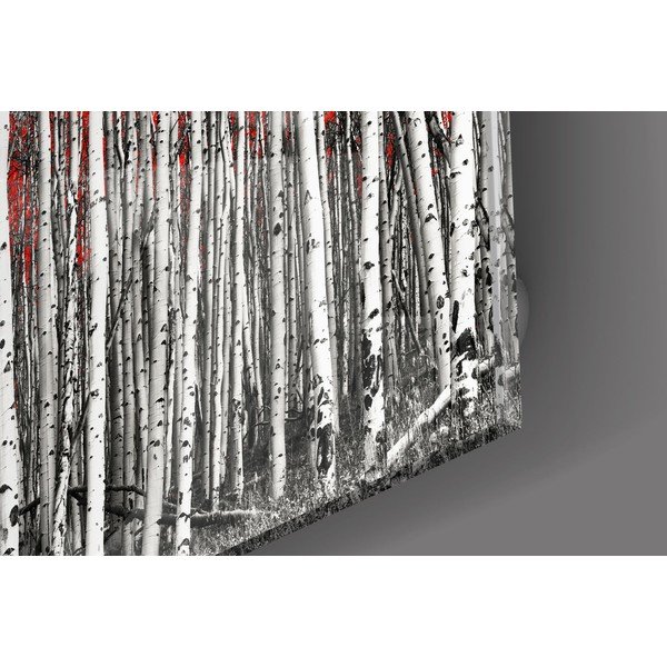 Skleněný obraz Insigne Birches-image-2