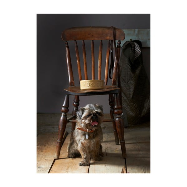 Kameninová miska pro psy Mason Cash Pet Cane Dog, ø 25 cm-image-3