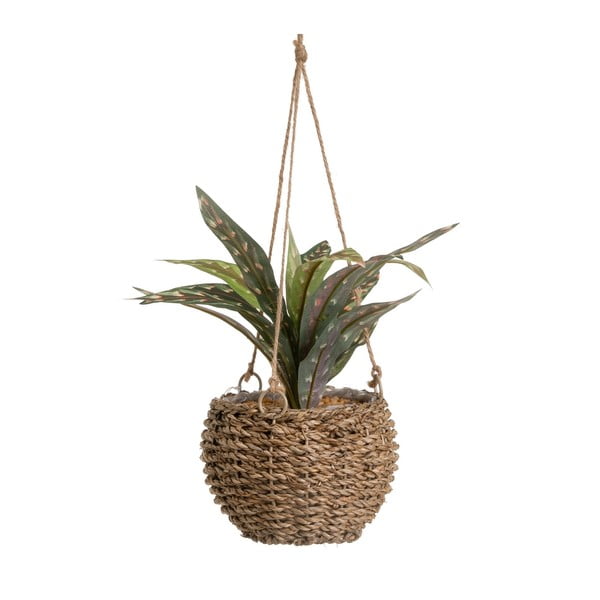 Umělá rostlina (výška 25 cm) – Casa Selección