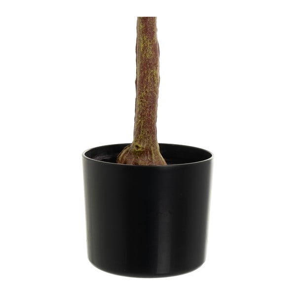 Umělá květina Eucalyptus – Casa Selección-image-3