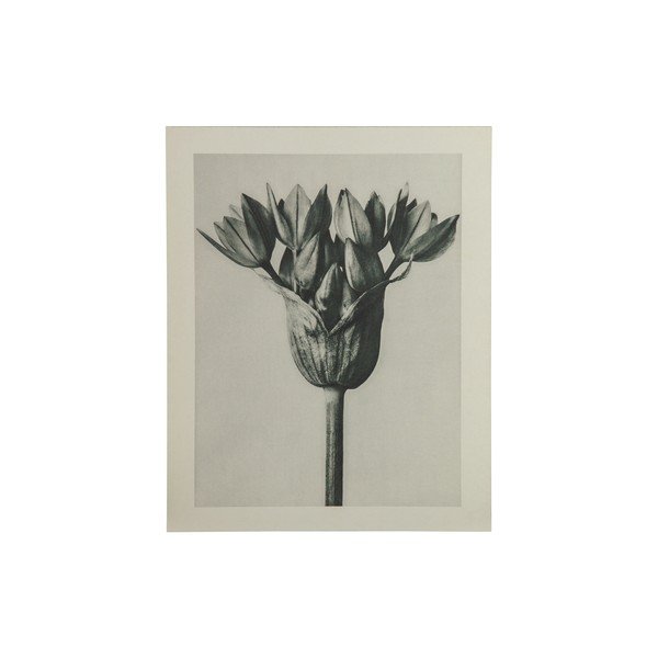 Béžovo-šedý obraz BePureHome Artwork Bud