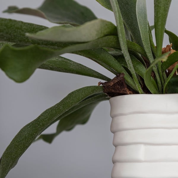 Bílá porcelánová ručně vyrobená váza Ribbon – Mette Ditmer Denmark-image-4