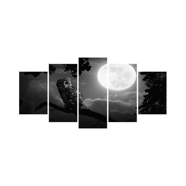 Vícedílný obraz Black&White no. 41, 100x50 cm
