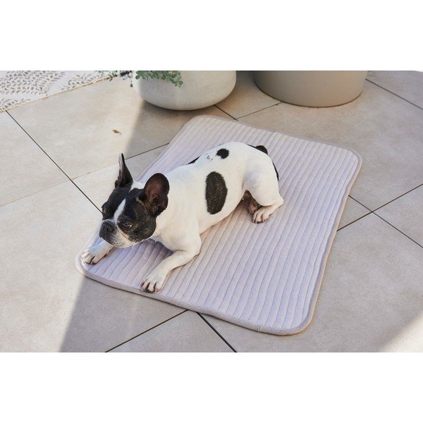 Šedá bavlněná deka pro psa 75x100 cm Onda Pebble M – MiaCara-image-3