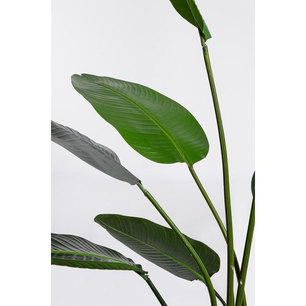Umělá květina (výška 185 cm) Sterilizia – Bizzotto-image-1