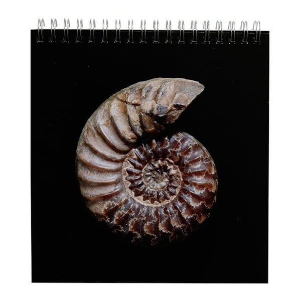 Stolní kalendář pro rok 2018 Portico Designs Natural History Museum Fossils