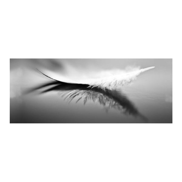 Skleněný obraz DecoMalta Feather, 125 x 50 cm