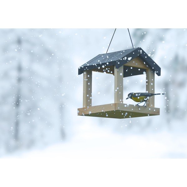 Dřevěné zásvěsné krmítko pro ptactvo Esschert Design-image-3