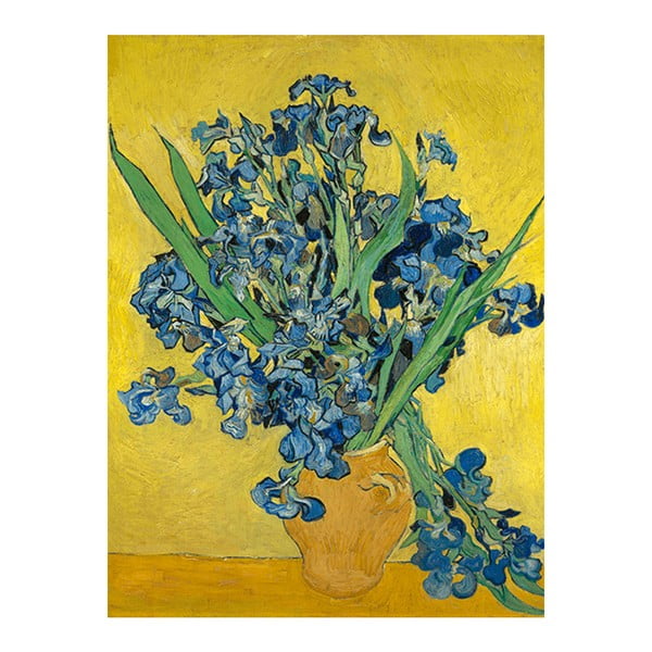 Obraz Vincenta van Gogha - Irises, 40x30 cm