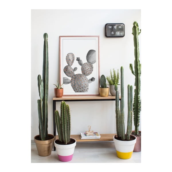 Obraz Really Nice Things Cactus Gris-image-1