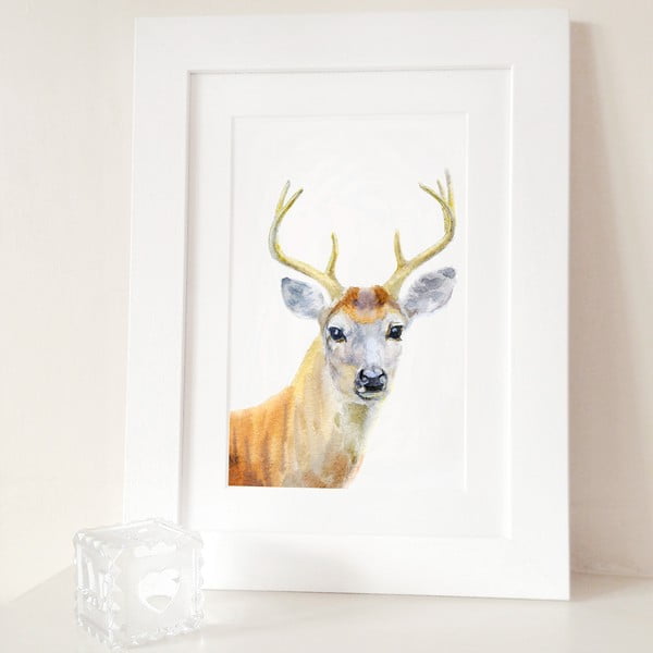Plakát Deer Portrait A4