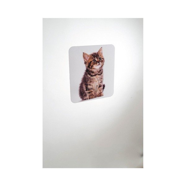 Nástěnný háček Compactor Magic Cat