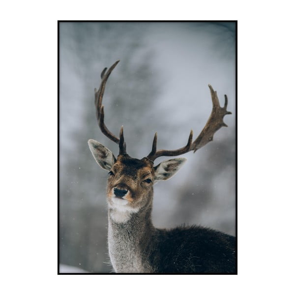 Plakát Imagioo Deer, 40 x 30 cm