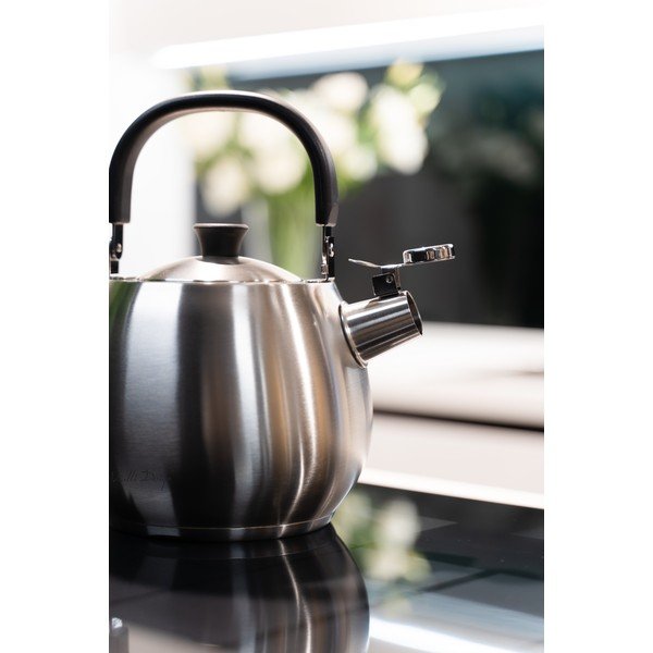 Stříbrná konvice z nerezové oceli s pístem Vialli Design Bolla, 2,5 l-image-4