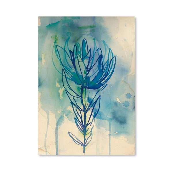 Plakát Blue Wash Protea, 30x42 cm