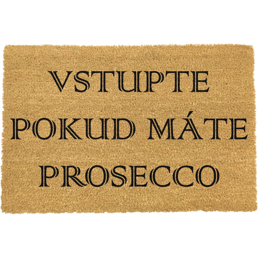 Rohožka z přírodního kokosového vlákna Artsy Doormats Prosecco, 40 x 60 cm