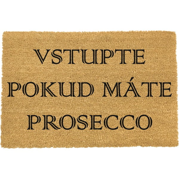 Rohožka z přírodního kokosového vlákna Artsy Doormats Prosecco, 40 x 60 cm