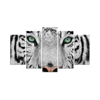 Vícedílný nástěnný obraz Snow Tiger
