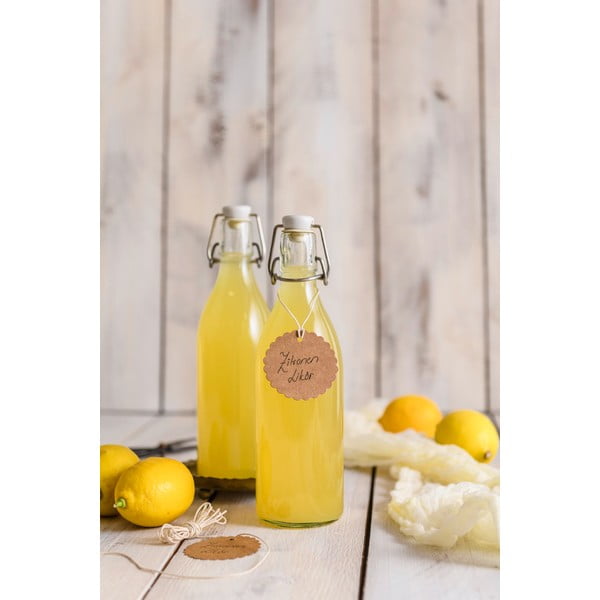 Skleněná láhev s klipem a těsněním Dr. Oetker Swing, 520 ml-image-1