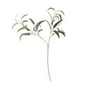 Umělý eukalyptus (výška 101 cm) – Bloomingville