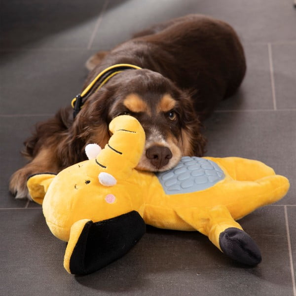 Hračka pro psa – Love Story-image-1