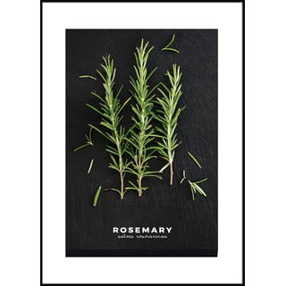 Plakát v rámu 50x70 cm Rosemary – Styler
