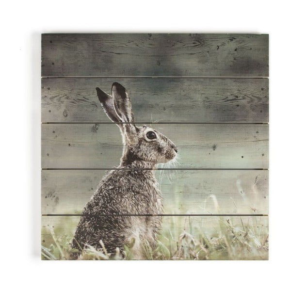 Dřevěný obraz Graham & Brown Hare, 50 x 50 cm