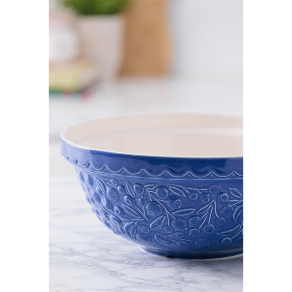 Modrá mísa z kameniny ø 26 cm Fruits Blueberry – Mason Cash-image-4