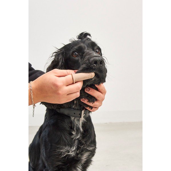 Zubní kartáčky pro domácího mazlíčka v sadě Dito – MiaCara-image-3